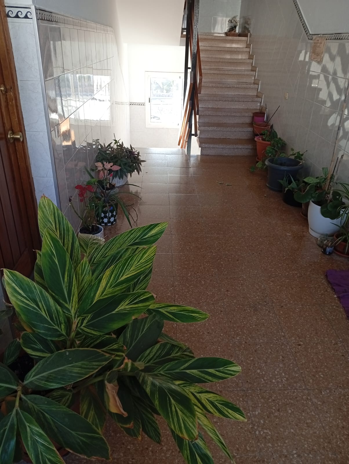 Luxurious villa with a large garden and swimming pool